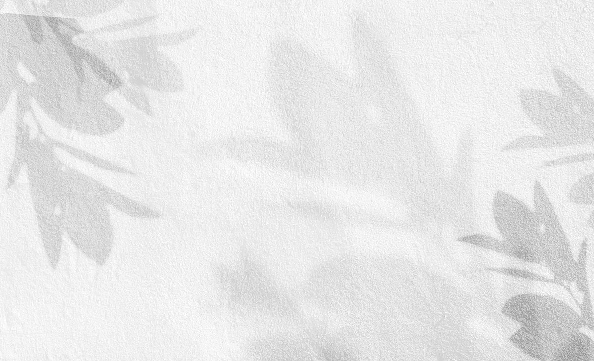 Tapet Personalizat Leaf cu umbre de frunze pe un perete alb texturat - STUCCO SHADOWS