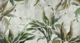 Tapet Personalizat Leaf cu plante verzi pe un fundal gri texturat - GREEN DRACAENA