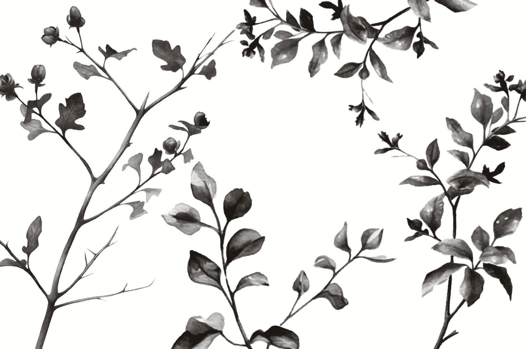 Tapet Personalizat Leaf cu frunze de stejar in alb negru - OAK MINIMALIST LEAVES
