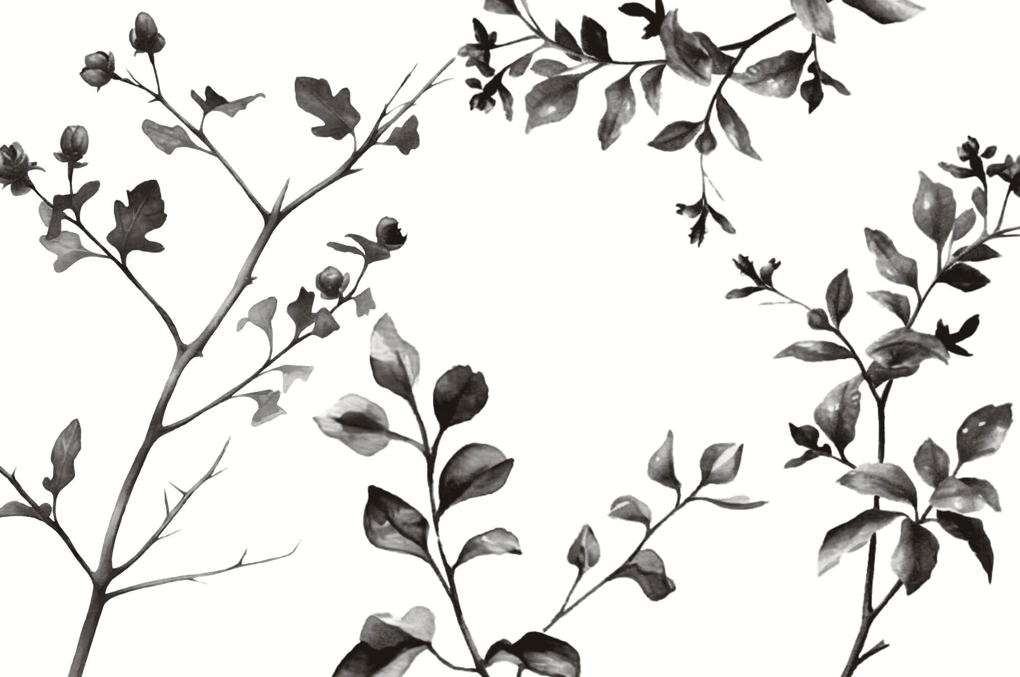 Tapet Personalizat Leaf cu frunze de stejar in alb negru - OAK MINIMALIST LEAVES