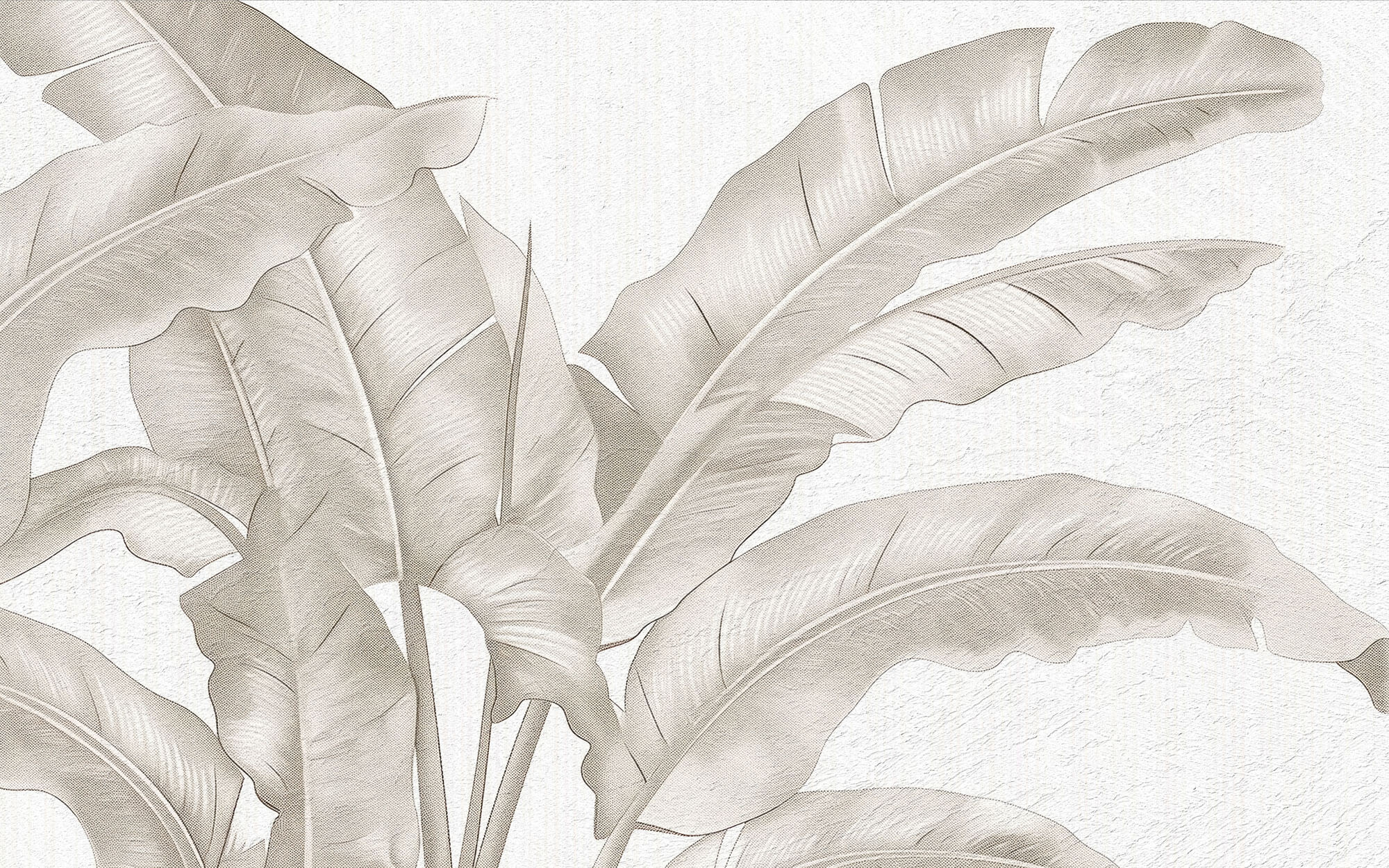 Tapet Personalizat Leaf cu frunze bej de bananier pe un fundal de plaster - DOTS BANANA LEAVES