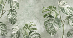 Tapet Personalizat Leaf cu frunze verzi de monstera pe un fundal texturat - WHITE MONSTERA WALL