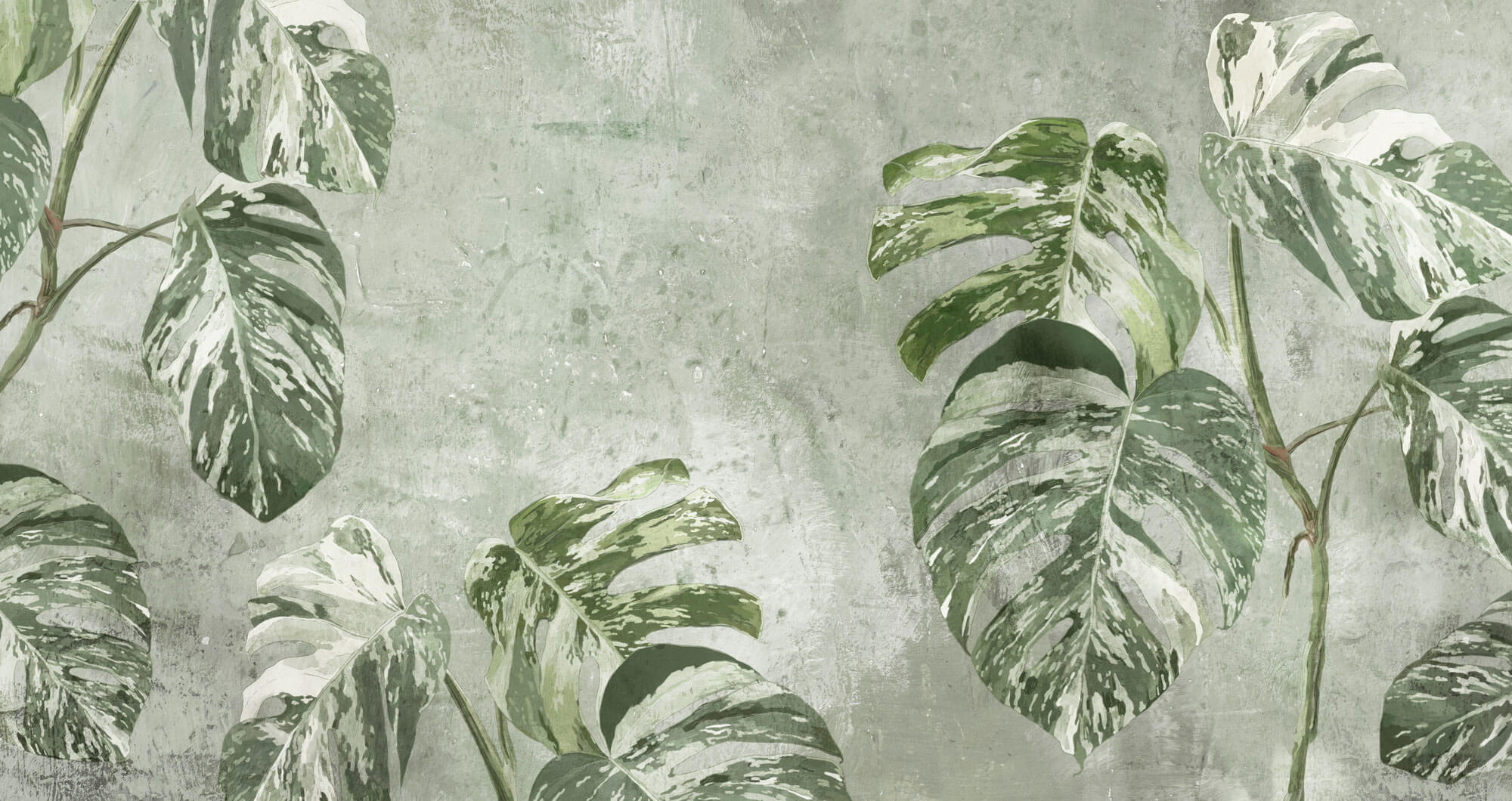 Tapet Personalizat Leaf cu frunze verzi de monstera pe un fundal texturat - WHITE MONSTERA WALL
