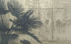 Tapet tropical personalizat cu umbre de palmieri tropicali thrinax parviflora pe un fundal de ciment gri concrete palms