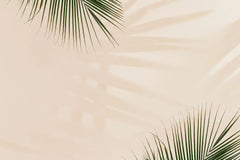 Tapet tropical personalizat cu frunze de palmier verzi si umbrele lor pe un fundal rose nude nude palm