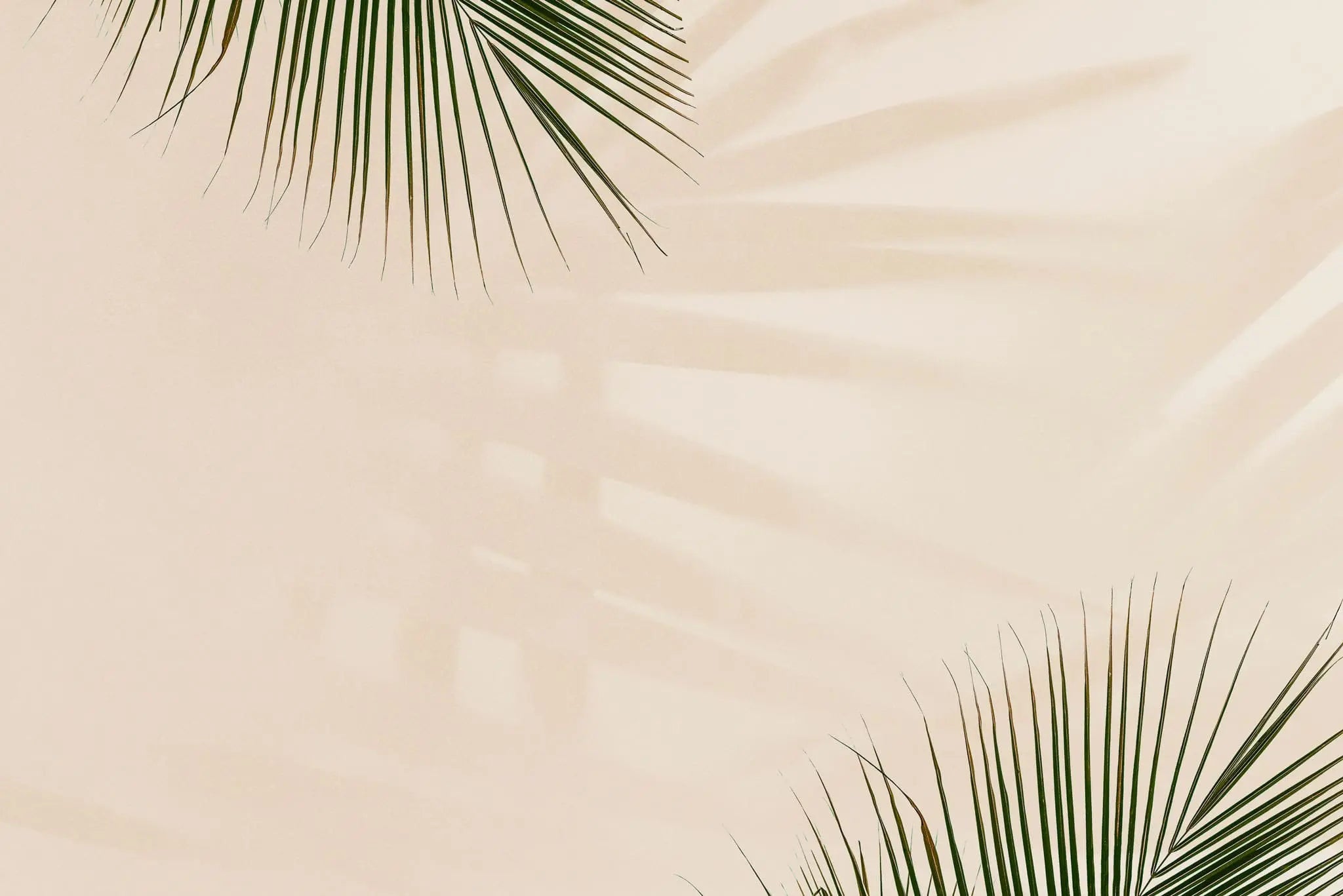 Tapet tropical personalizat cu frunze de palmier verzi si umbrele lor pe un fundal rose nude nude palm