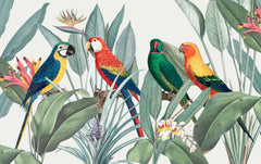 Tapet tropical personalizat tropical cu papagali exotici colorati planta paradisului flori si frunze tropicale tropical parrots