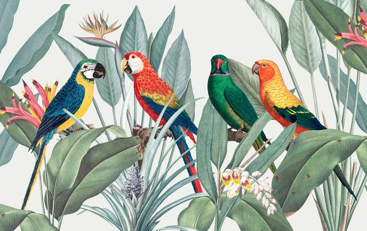 Tapet tropical personalizat tropical cu papagali exotici colorati planta paradisului flori si frunze tropicale tropical parrots