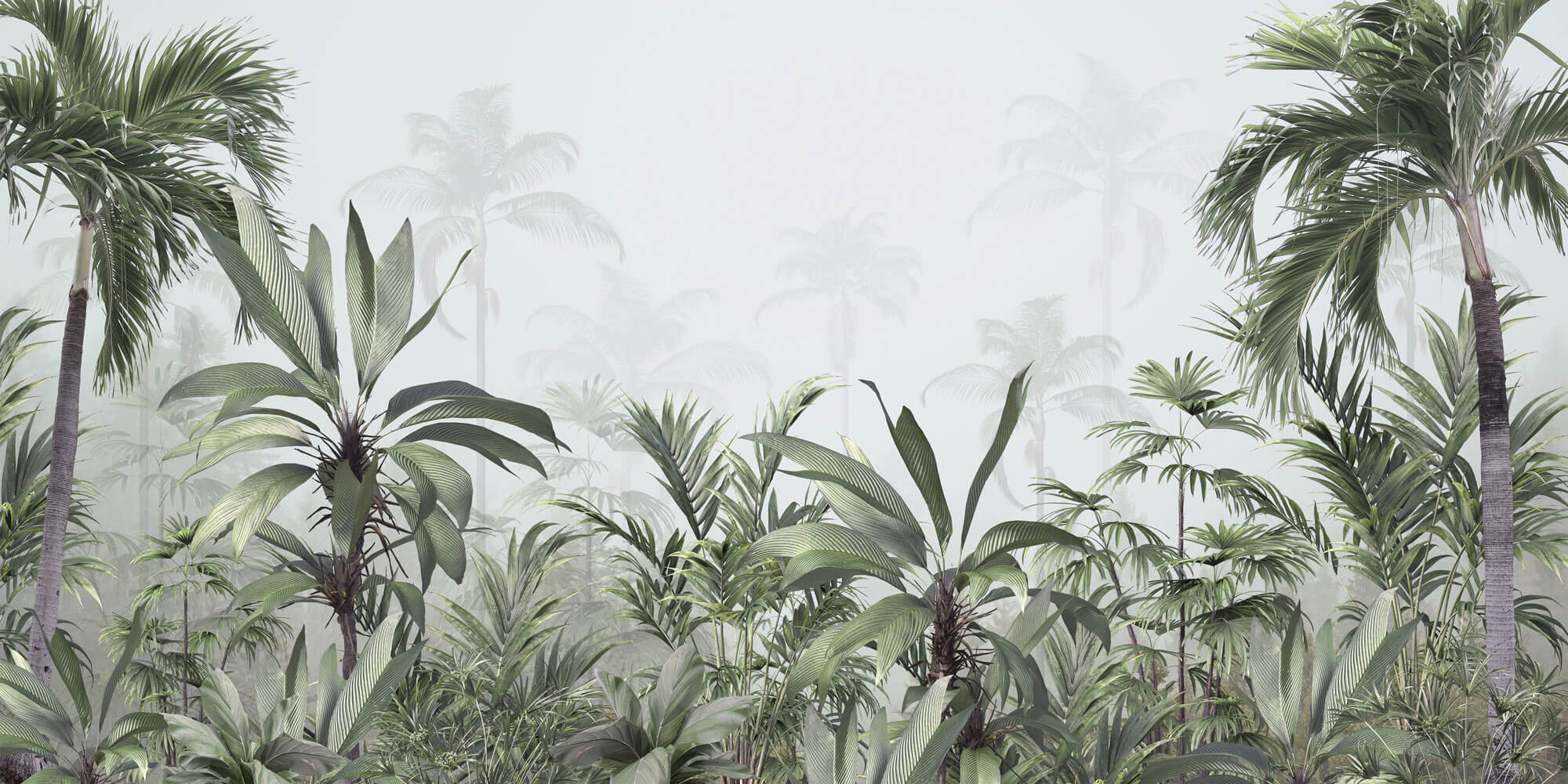 Tapet personalizat Tropical cu jungla tropicala in ceata - FOGGY TROPICAL JUNGLE