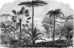 Tapet personalizat Tropical cu peisaj tropical desenat in dungi alb si negru - TROPICAL POSTCARD