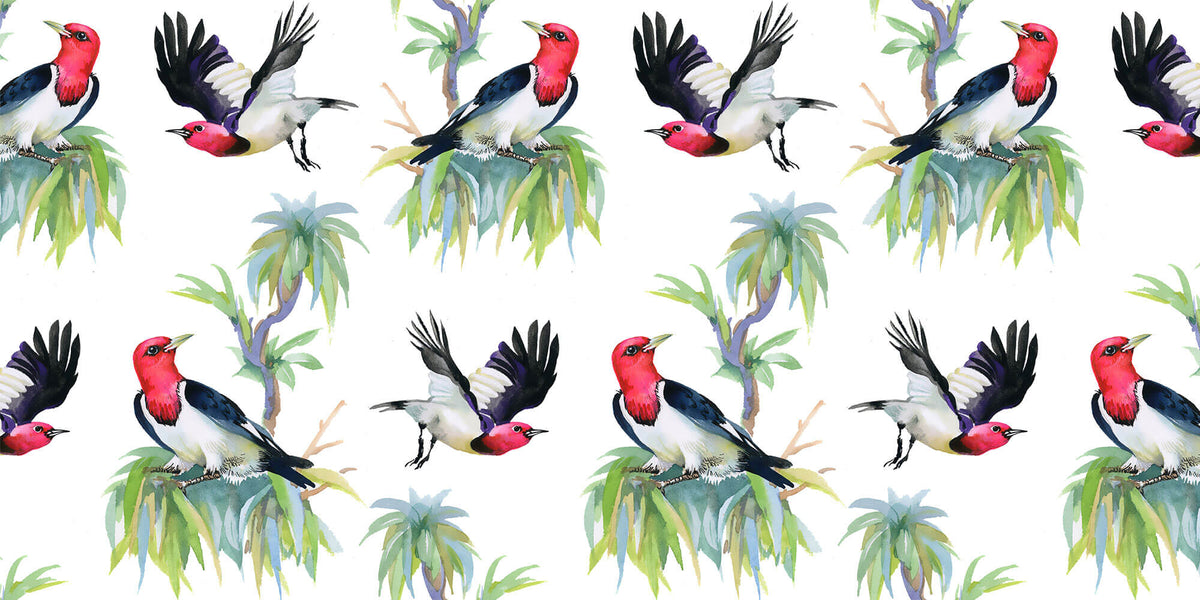 Tapet personalizat Tropical cu pasari exotice - RED-HEADED CARDINAL