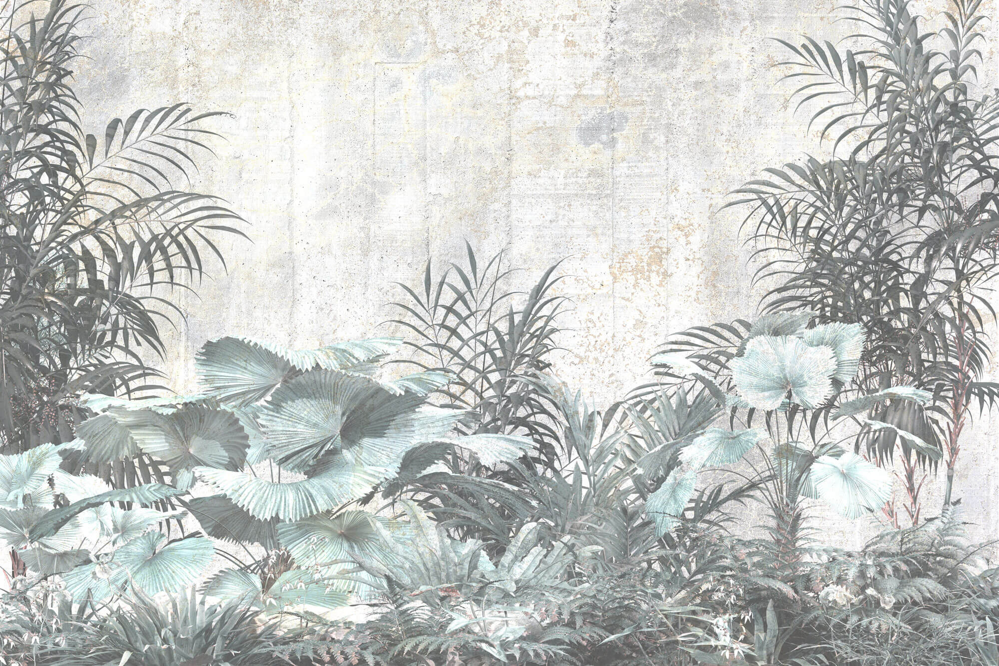 Tapet personalizat Tropical cu plante tropicale pe un fundal de perete cimentat - CONCRETE WALL VEGETATION