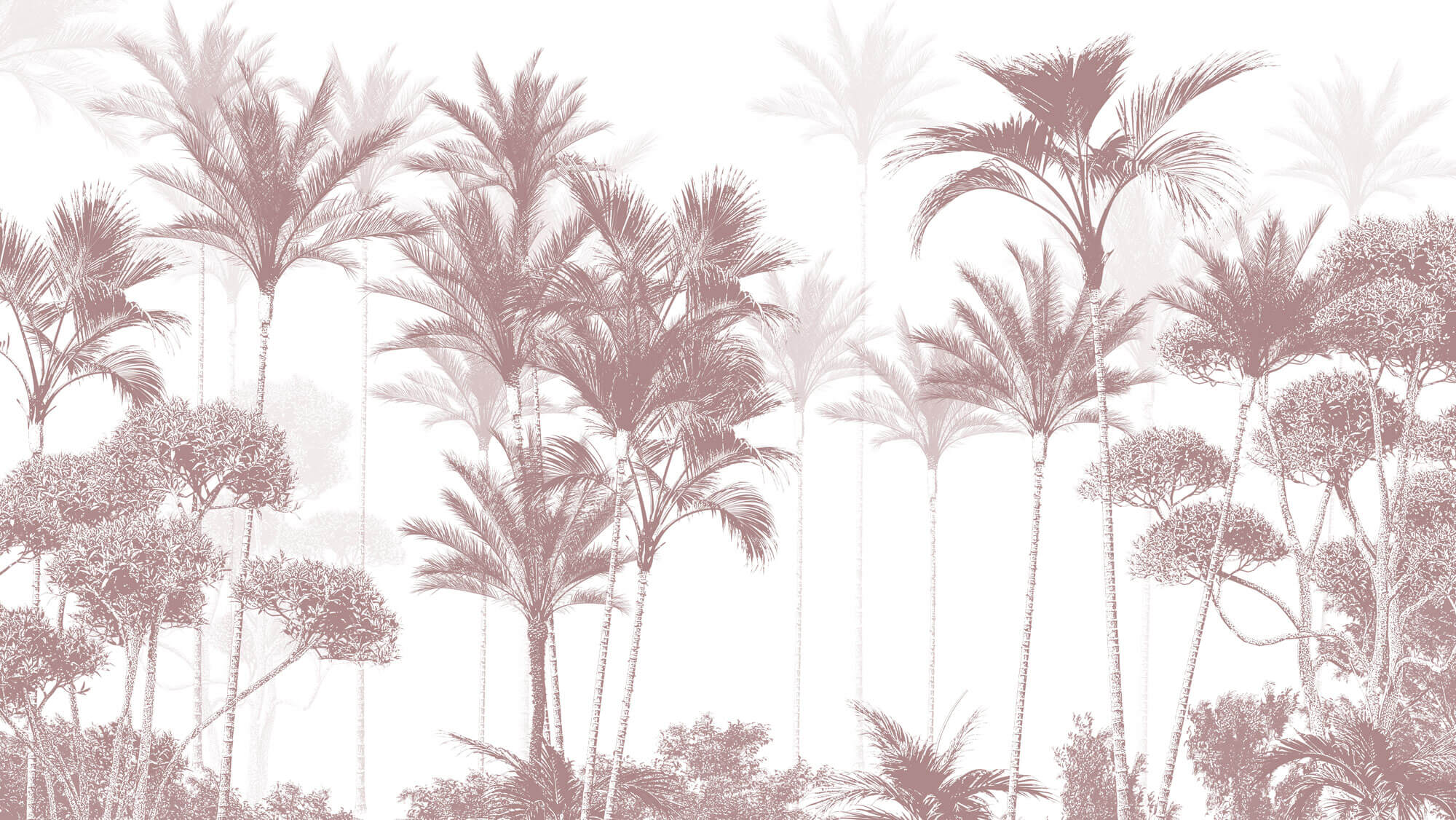 Tapet personalizat Tropical cu copaci tropicali in nuante de rosiatice - PLUM PALMS