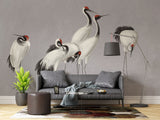 Tapet personalizat zen oriental cu cocori eleganti intr un cadru simplist evocand liniste si puritate misty cranes