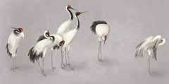 Tapet personalizat zen oriental cu cocori eleganti intr un cadru simplist evocand liniste si puritate misty cranes