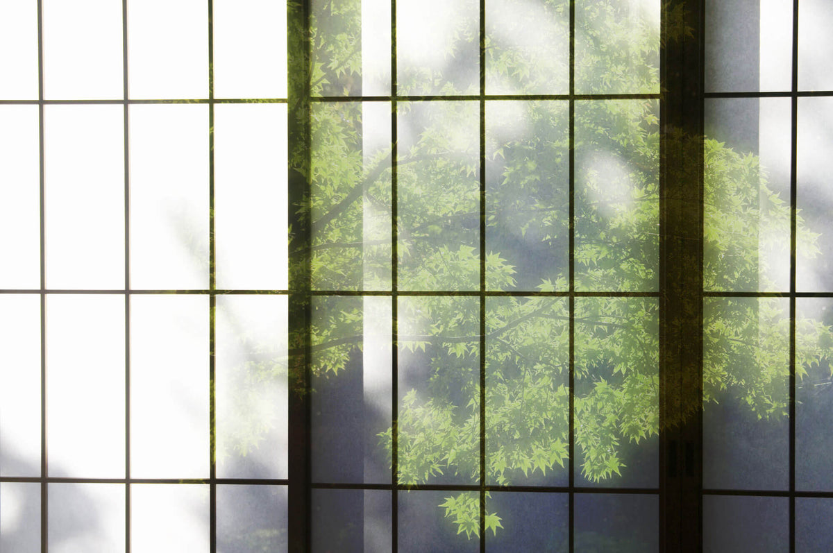 Tapet Zen Oriental cu usi shoji si vegetatie - SHOJI WALL