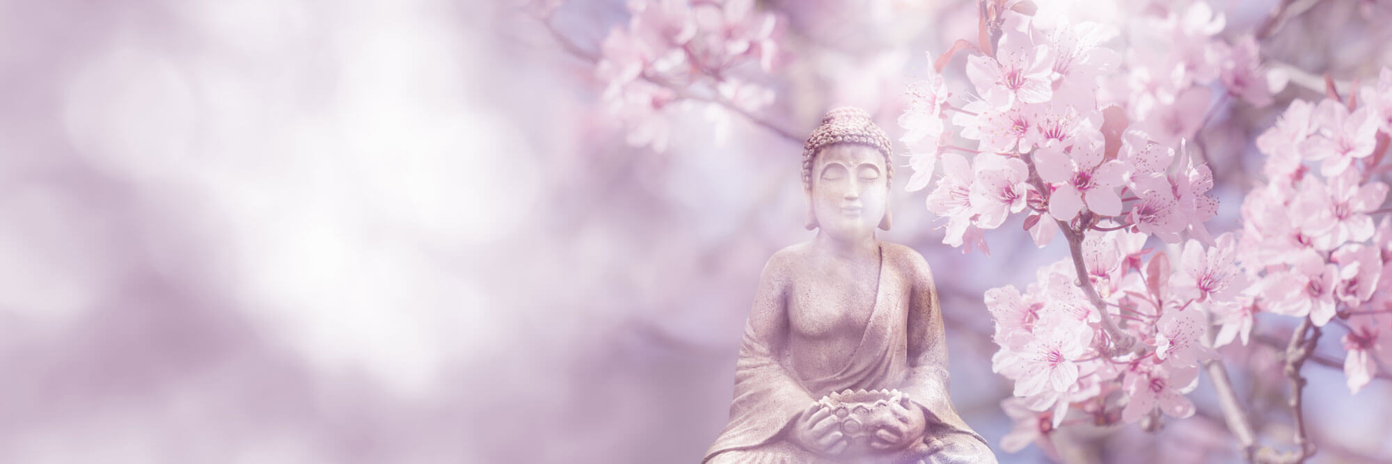 Tapet Zen Oriental cu ciresi infloriti si statueta lui Buddha - CHERRY BLOSSOM BUDDHA