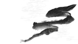 Tapet Japandi cu pictura japoneza sumi si motive seigaiha in nuante de negru si alb - SUMI WIND