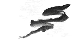 Tapet Japandi cu pictura japoneza sumi si motive seigaiha in nuante de negru si alb - SUMI WIND