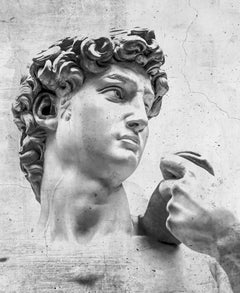 Tapet personalizat victorian cu statuia lui david sculptura de tip portret david statue portrait