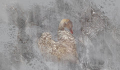 Tapet personalizat victorian cu gasca pe un fundal gri in stil victorian victorian goose