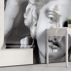 Tapet Personalizat Victorian cu statueta feminina - DAPHNE