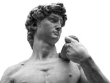 Fototapet Personalizat Victorian cu statueta lui David - MICHELANGELO'S DAVID