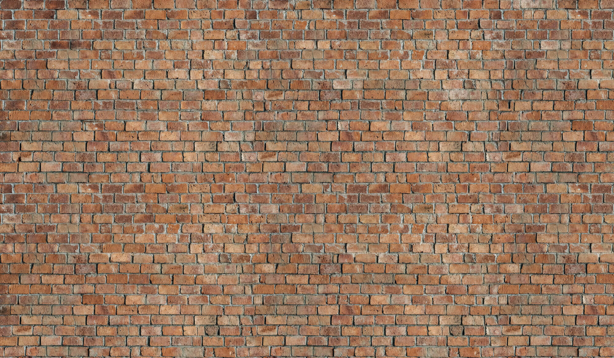 Tapet Personalizat Stone cu perete de caramida veche - OLD SCRAPED BRICKS