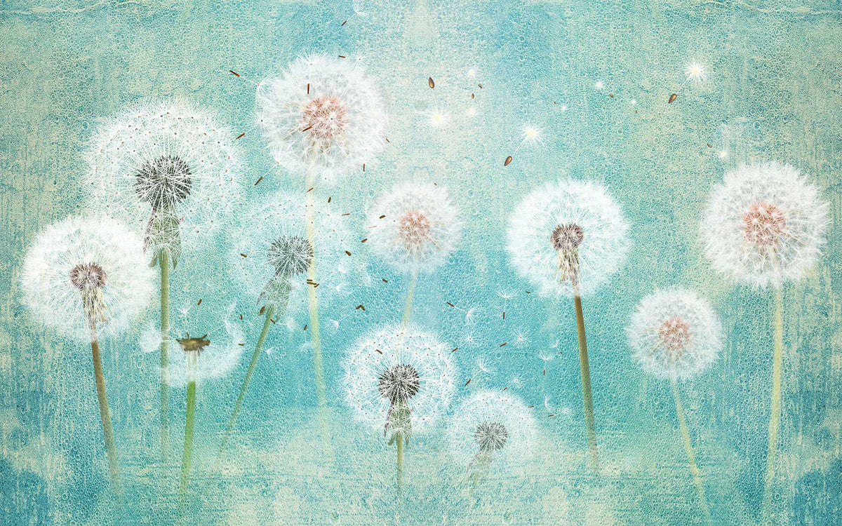 Tapet personalizat natura pentru copii cu flori de papadii albe pe fundal verde turcoaz white dandelions