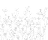 Tapet Personalizat Natura pentru copii cu plante salbatice in nuante de gri si alb - GREY WILDFLOWERS