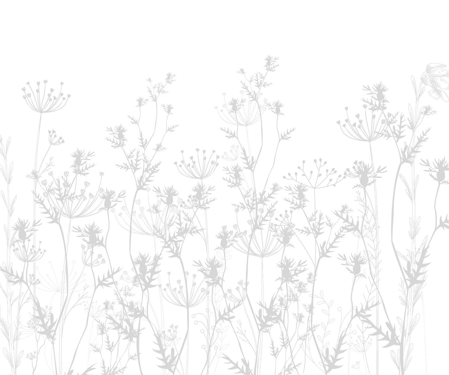 Tapet Personalizat Natura pentru copii cu plante salbatice in nuante de gri si alb - GREY WILDFLOWERS