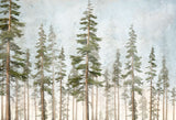 Tapet Personalizat Natura pentru copii cu brazi inalti  - NORWAY SPRUCE