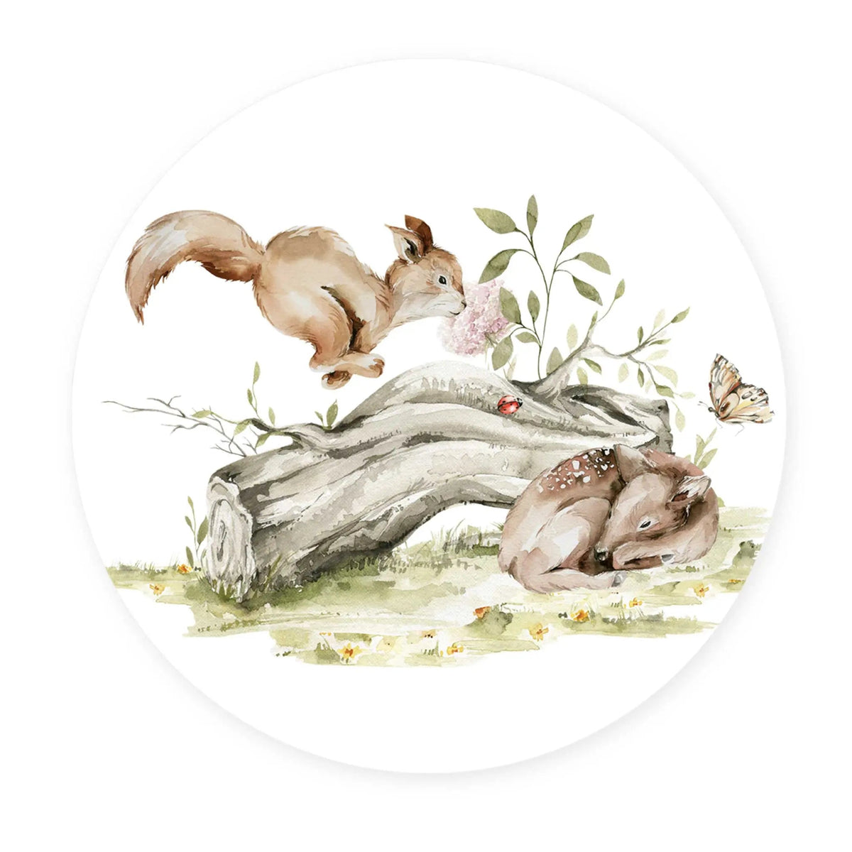 Sticker perete copii rotund cu Veverita draguta si ilustratie padure in acuarela   SQUIRREL FOREST