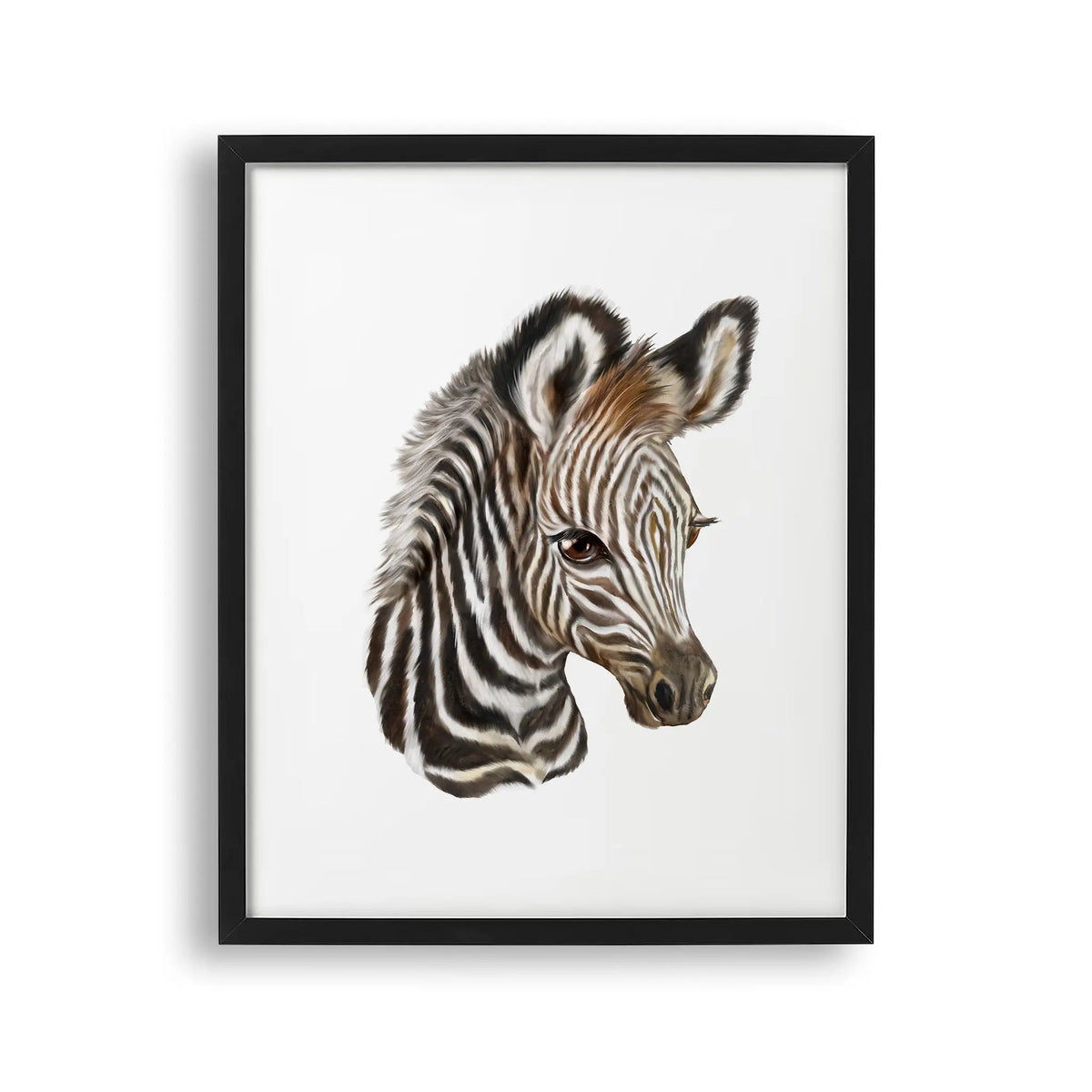 Tablou cu rama pentru copii care ilustreaza un pui de zebra care arata frumusetea si detaliile acestui animal zebra foal