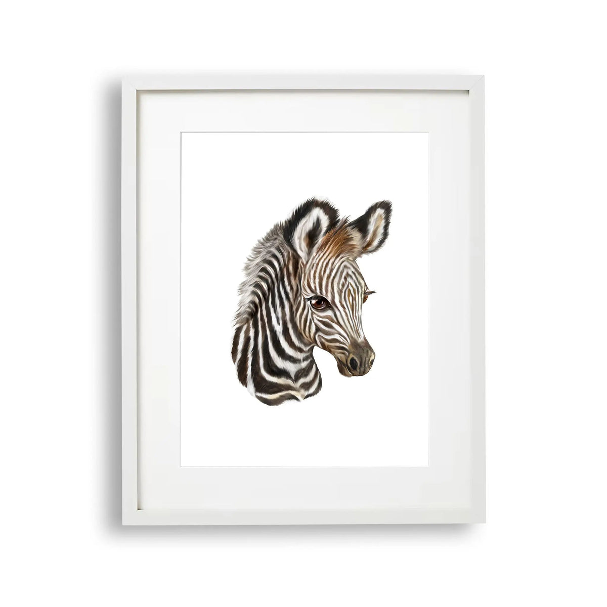 Tablou cu rama pentru copii care ilustreaza un pui de zebra care arata frumusetea si detaliile acestui animal zebra foal