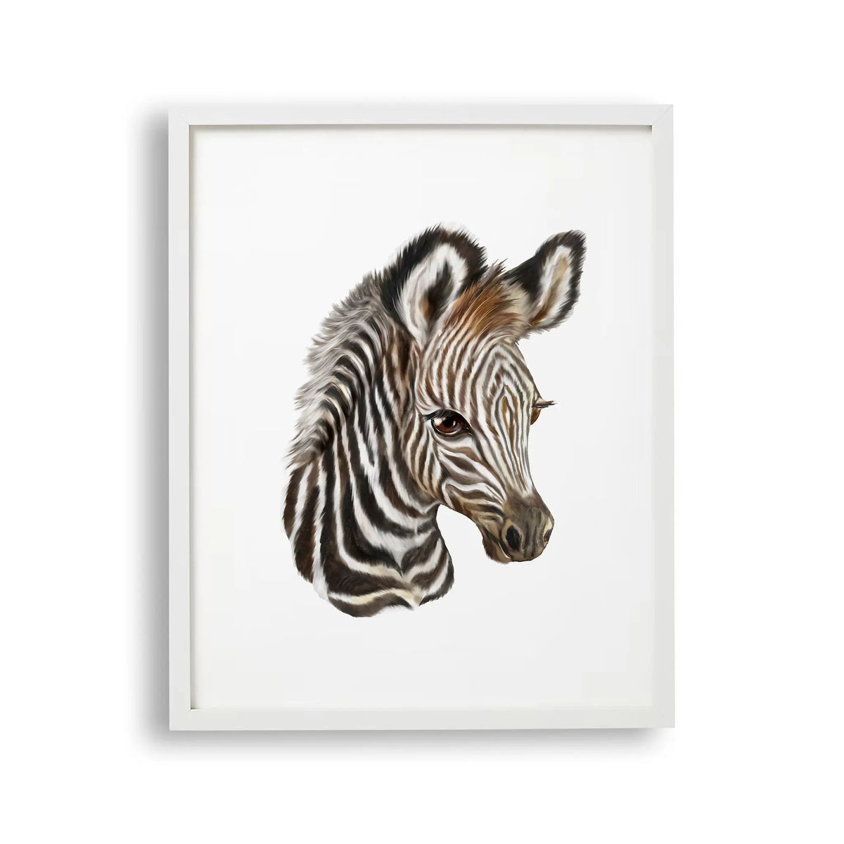 Tablou cu rama pentru copii care ilustreaza un pui de zebra care arata frumusetea si detaliile acestui animal zebra foal